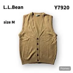 Item thumbnail for item 6255003f-948e-4c08-bfcd-afcbb8d7a562