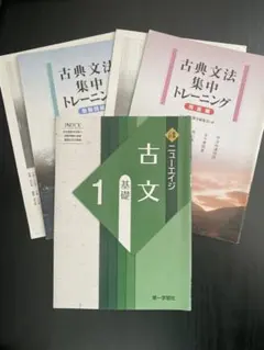 古典文法　集中トレーニング　用語編助動詞編セット&ニューエイジ古文　基礎1