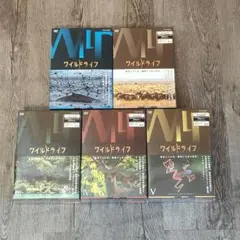 NHKワイルドライフ DVD-1～5BOX 全15枚 - メルカリ