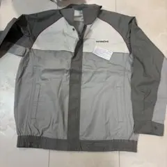 Item thumbnail for item 7c6310e5-56c5-4da9-8a13-a8fec2e1b54b