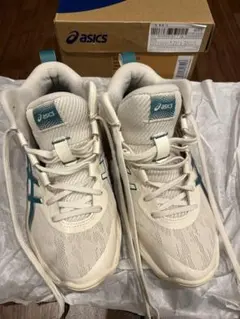 ゲルフープv17 24