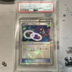 PSA6 ポケモンずかんカード グラードン＆カイオーガ プリズムクリア