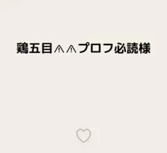 鶏五目⚠︎⚠︎プロフ必読様