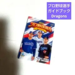 Item thumbnail for item 14fde0c8-1f11-49bb-9be7-b0f8a8c47a7c