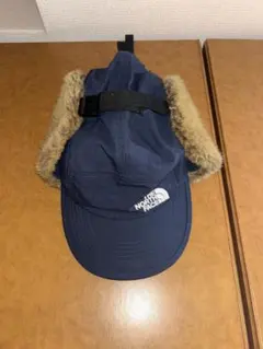 Item thumbnail for item 44ebd430-2eb2-4c05-86f1-707f68baa1e9