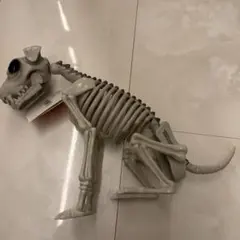 ダイソー スケルトンドッグ　ハロウィン
