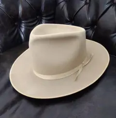 2026年最新】stetson シルバーベリーの人気アイテム - メルカリ
