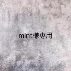 mint様専用ページ♡