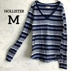 HOLLISTER ネイビー/ホワイトストライプ Vネック Tシャツ 【M】