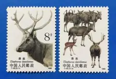 Item thumbnail for item 5a6eae62-92e3-4b2f-9d4c-beb376df5aac