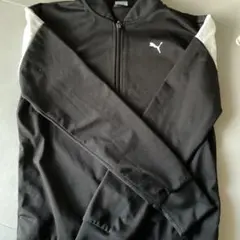 PUMA レディース ジャージ ジャケット パンツ上下セット