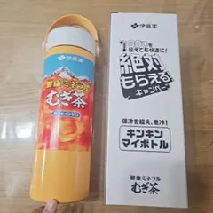 伊藤園 キンキンボトル!! 500ml - メルカリ