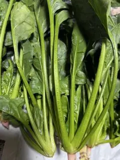 のんちゃん様専用です。新鮮野菜詰め合わせです