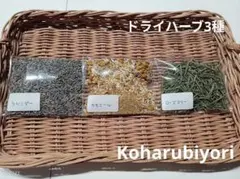ドライハーブ3種 クラフト用 Koharubiyori
