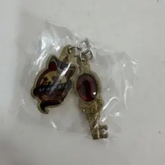 ツイステッドワンダーランド めじるしアクセサリー スカラビア寮①