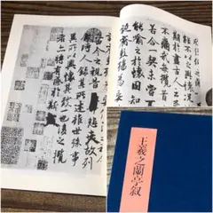 書学大系42巻 2025年最新】書学大系の人気アイテム - メルカリ