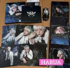 &TEAM アルバム Back to Life ソロジャケ盤 ハルア