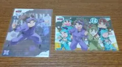 忍たま 竹谷 八左ヱ門 クリアカード 生物委員会