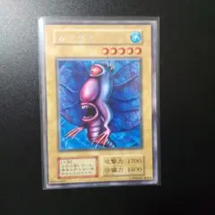 2026年最新】カクタス 遊戯王の人気アイテム - メルカリ