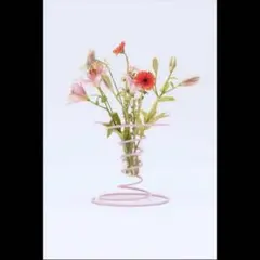 25日まで掲載】IKEA ヴィンテルフィント グスタフウェストマン - メルカリ