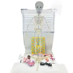 Item thumbnail for item a19c33de-535b-422b-8211-d72403576162