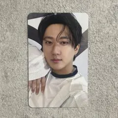 [チャンビン] StrayKids celebrATE リアルタッチフォトカード