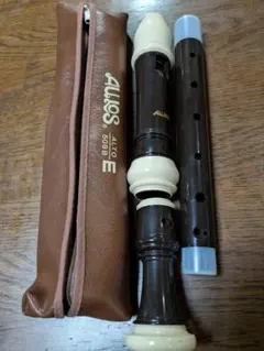 Item thumbnail for item af514381-2647-4e10-9a6a-986053600184