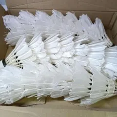 2025年最新】ヨネックス シャトル エアロセンサの人気アイテム - メルカリ