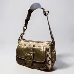 2026年最新】coach ワンショルダーバッグ シグネチャーの人気アイテム
