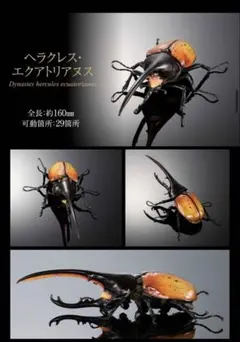 いきもの大図鑑アドバンス ヘラクレスエクアトリアヌス オンライン版 新品未開封