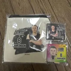 ジョシュ ホーキンソン グッズセット② 2025年最新】ジョシュ・ホーキンソンの人気アイテム - メルカリ