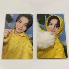 Heaven carat盤　ウジ