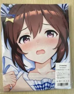 のんのんびより 一条蛍 抱き枕カバー Dakimakuri - メルカリ