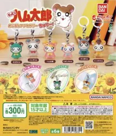 【トンガリくん】とっとこハム太郎 めじるしアクセサリー