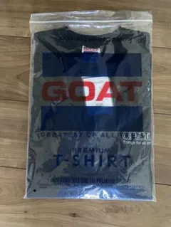 Item thumbnail for item 3fae574d-e728-4380-be61-097f5f81350c