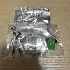 東京ヤクルトスワローズ スワポン 3連アクリルキーホルダー 武岡琉世