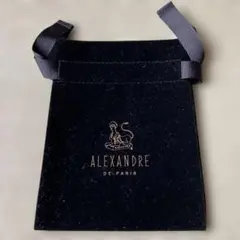 【ALEXANDRE DE PARIS】商品保存袋（大）のサムネイル