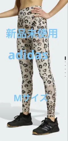 Item thumbnail for item a2a34a9c-9342-482c-8e29-65908b971636