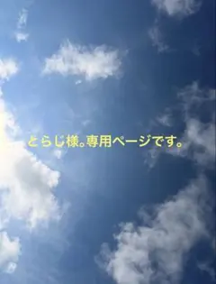 とらじ様。専用ページです。