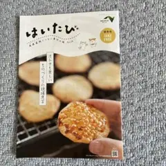 はいたび　秋冬号　NEXCO東日本　1冊