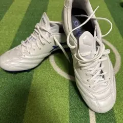 asics DS Light Pro WIDE25.5 新品未使用箱なしタグなし 2026年最新】DS light 25.5の人気アイテム - メルカリ