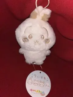 しばライオン同封❌様 リクエスト 2点 まとめ商品