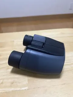 Item thumbnail for item b95e30e1-fa81-4418-b74d-8be9c2b868ce