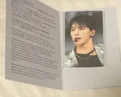 SEVENTEEN トレカ　ディノ