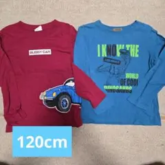 長袖カットソー 2枚セット 120cm