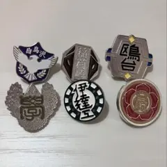 ハイキュー 高校モチーフ ピンバッジ