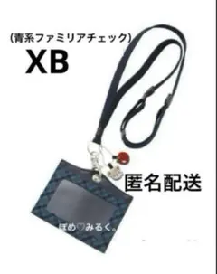 新品★ファミリアネームホルダー★青系チェック★カードケース♡パスケース♡社員証入