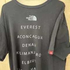 THE NORTH FACE セブンサミット Tシャツ　メンズLのサムネイル