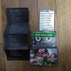 Item thumbnail for item 3eadf73d-09fc-433d-b52a-0b582fca114b