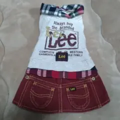 Item thumbnail for item 157b34a5-73ea-49d4-8b46-fe994ff88864